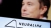 Biểu tượng của Neuralink và ảnh của ông Elon Musk được trưng bày ngày 19/12/2022.