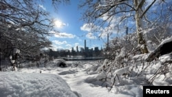 7 Ocak 2022 - New York City'deki Central Park beyaza büründü