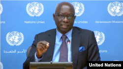 Adama Dieng, Special Adviser on the Prevention of Genocide